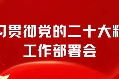 集团旗下岭南职业技术学院召开学习贯彻党的二十大精神工作部署会